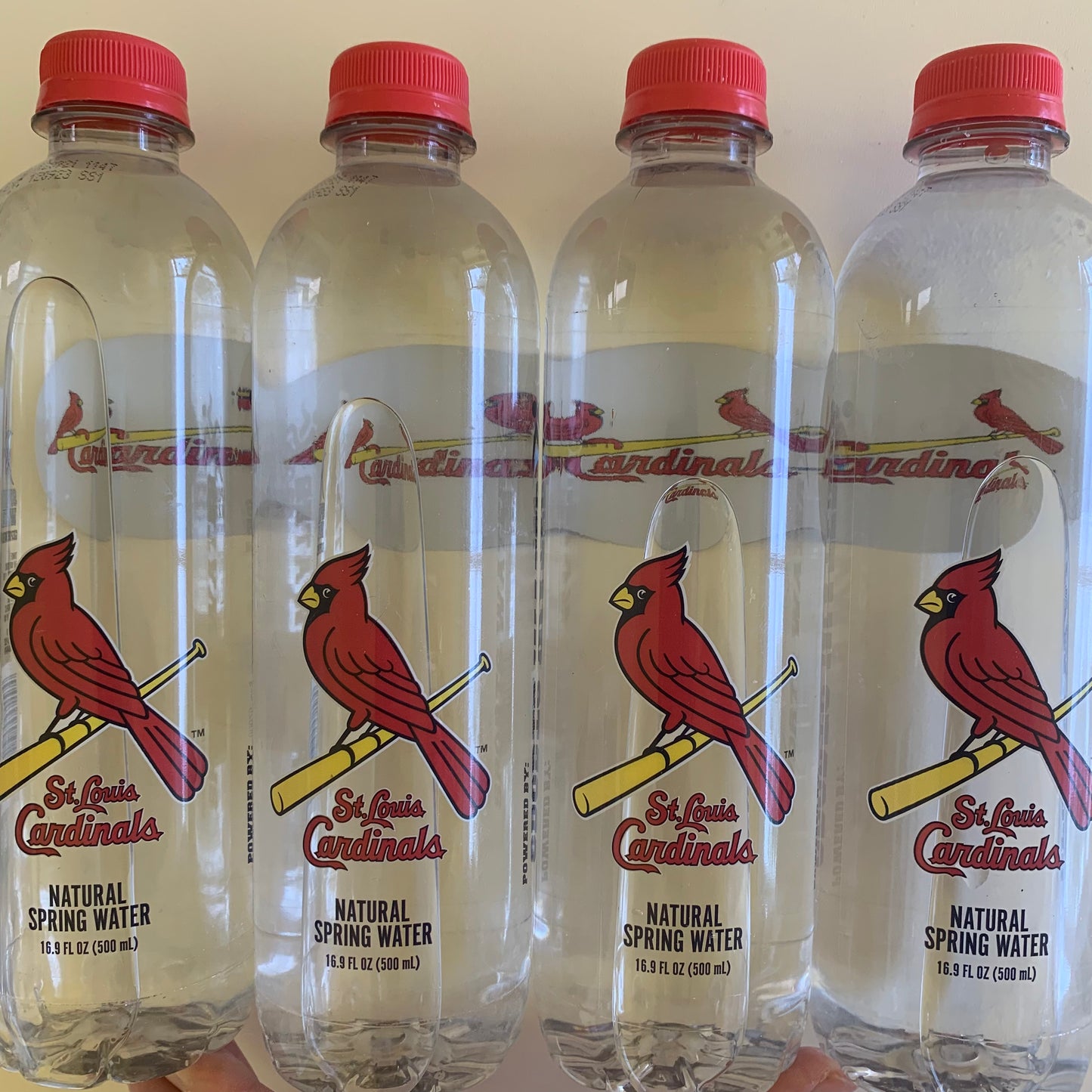 Cardinals Water Bottle LOCAL PICKUP
